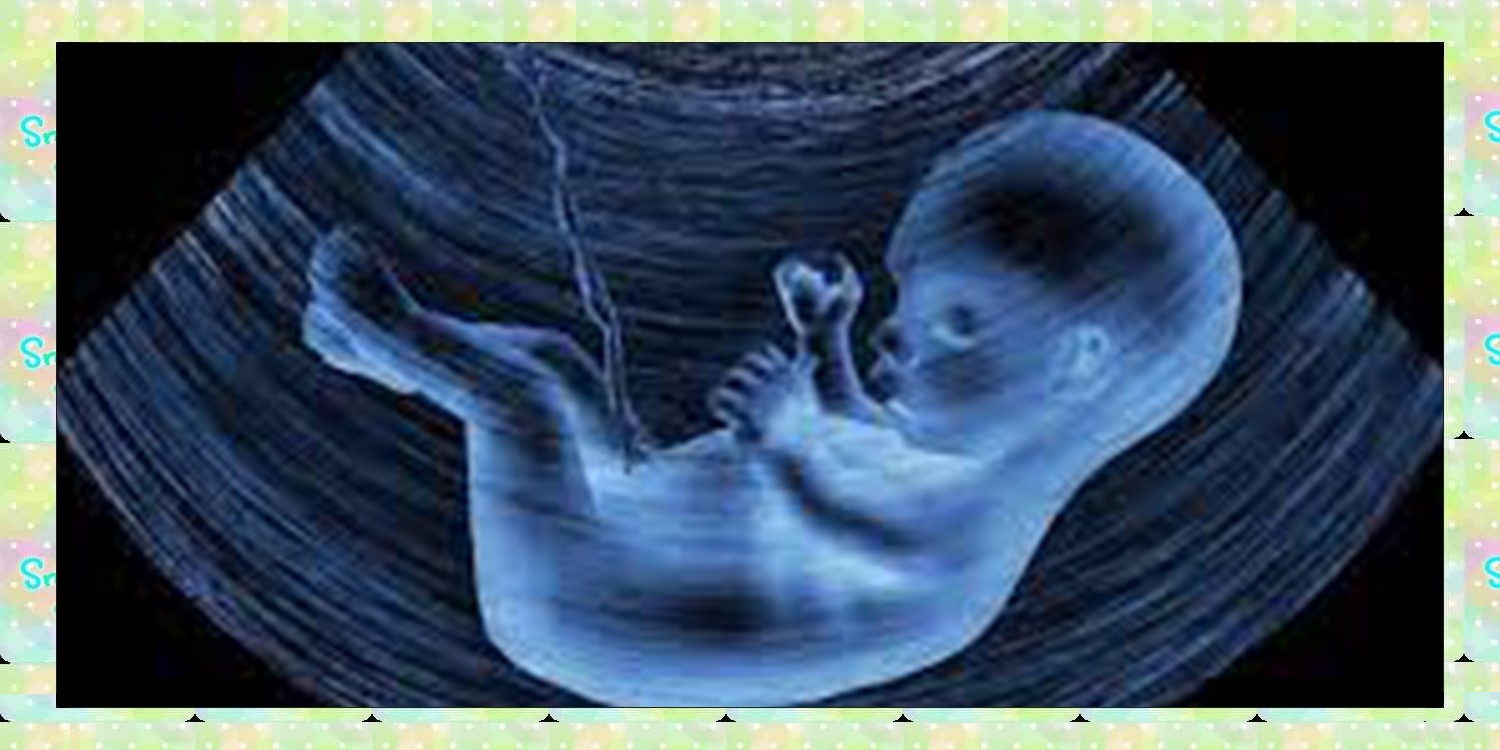 تاثیر اشعه ایکس بر جنین